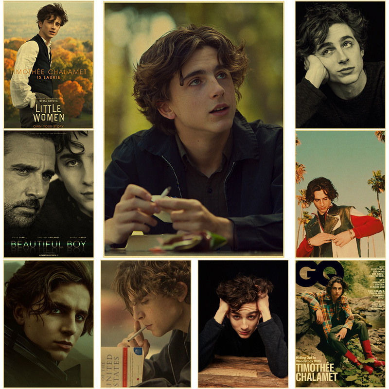 Timothee Chalamet Retro Canvas - Home Bar And Theater recensie en prijs