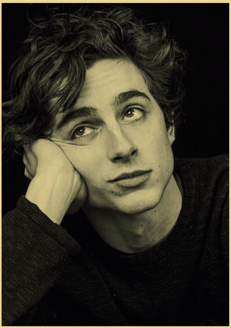 Timothee Chalamet Retro Canvas - Home Bar And Theater recensie en prijs